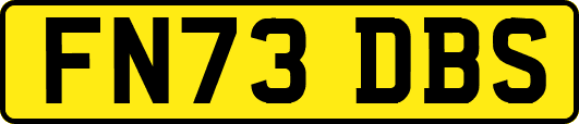 FN73DBS