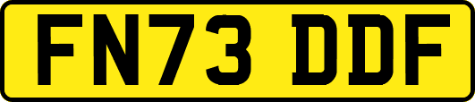 FN73DDF