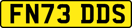 FN73DDS