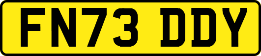 FN73DDY