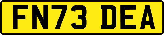 FN73DEA