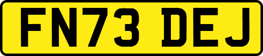 FN73DEJ