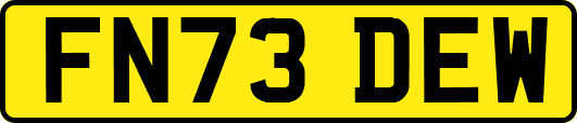 FN73DEW