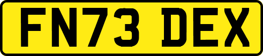 FN73DEX