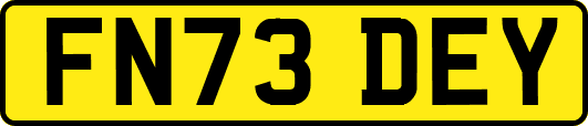 FN73DEY