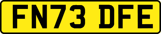 FN73DFE
