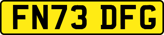 FN73DFG
