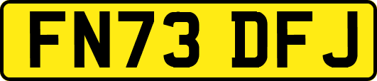 FN73DFJ