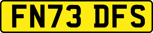 FN73DFS