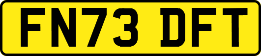 FN73DFT