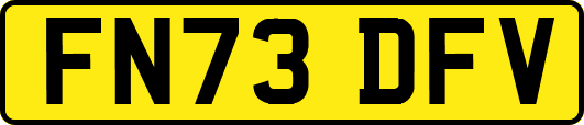 FN73DFV