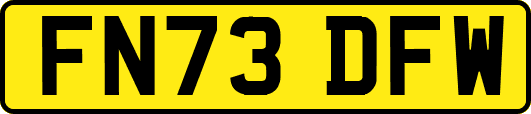 FN73DFW