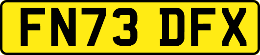 FN73DFX