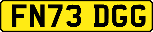 FN73DGG