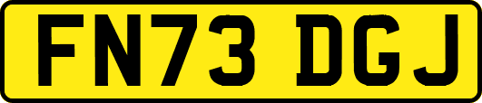 FN73DGJ