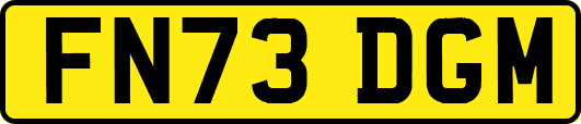 FN73DGM