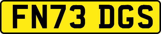 FN73DGS