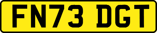 FN73DGT