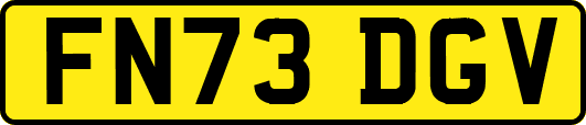 FN73DGV