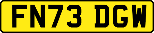 FN73DGW