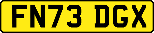 FN73DGX