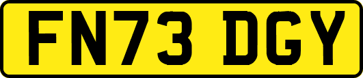 FN73DGY