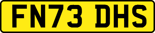 FN73DHS