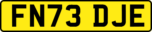 FN73DJE