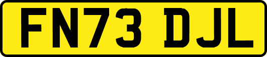 FN73DJL