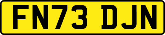 FN73DJN