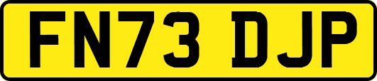 FN73DJP
