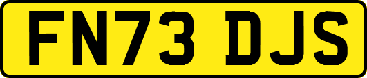 FN73DJS