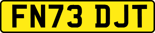 FN73DJT