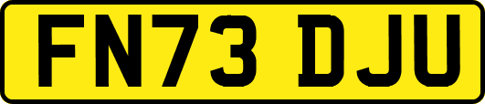 FN73DJU