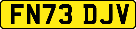 FN73DJV