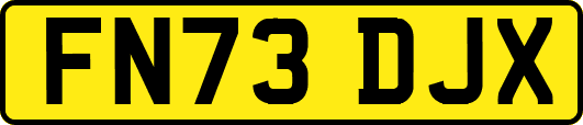 FN73DJX