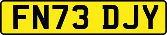 FN73DJY