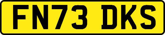 FN73DKS