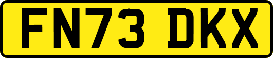 FN73DKX