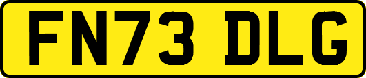 FN73DLG