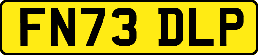 FN73DLP