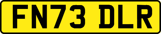FN73DLR