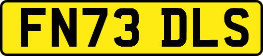 FN73DLS