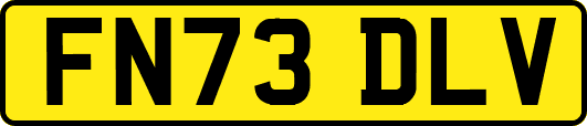 FN73DLV