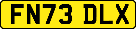 FN73DLX