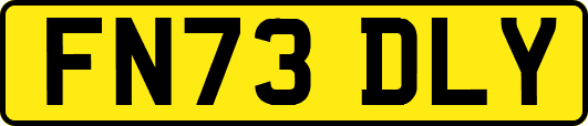 FN73DLY