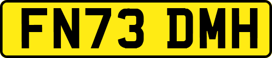 FN73DMH