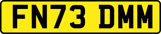 FN73DMM