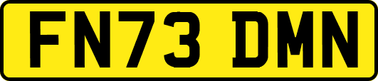 FN73DMN