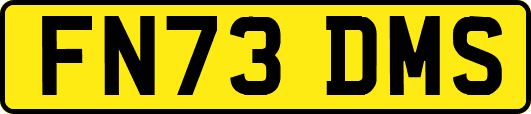 FN73DMS